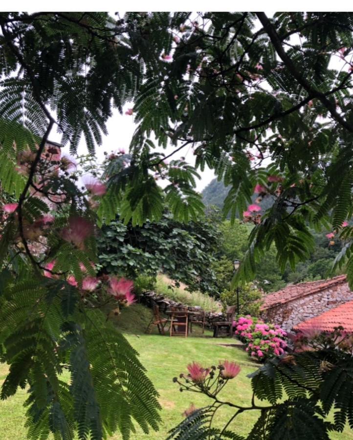 Hdec Hosteria De Castaneda Alojamiento Turistico Puente Viesgo Dış mekan fotoğraf