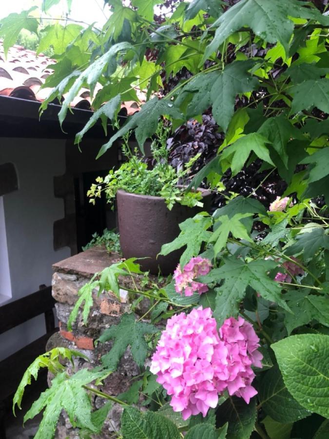 Hdec Hosteria De Castaneda Alojamiento Turistico Puente Viesgo Dış mekan fotoğraf