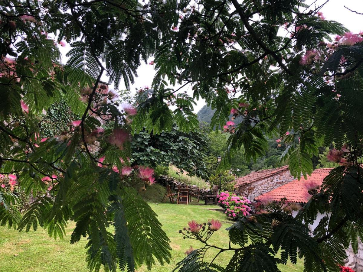 Hdec Hosteria De Castaneda Alojamiento Turistico Puente Viesgo Dış mekan fotoğraf